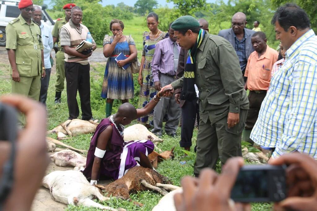 Kutatua Migogoro Ya Wakulima Na Wafugaji Udadisi