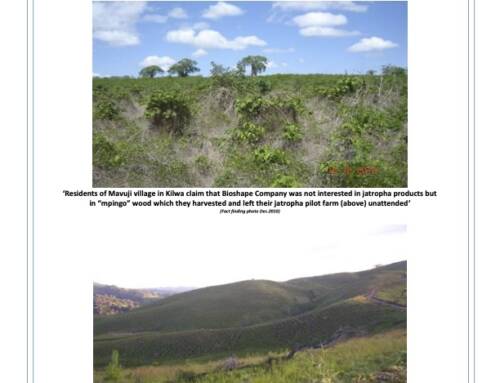 ￼Accumulation by Land Dispossession and Labour Devaluation in Tanzania: The case of biofuel and forestry investments in Kilwa and Kilolo